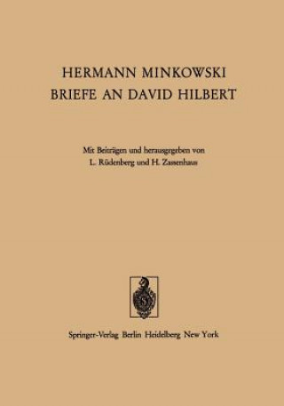 Kniha Hermann Minkowski Briefe an David Hilbert H. Minkowski