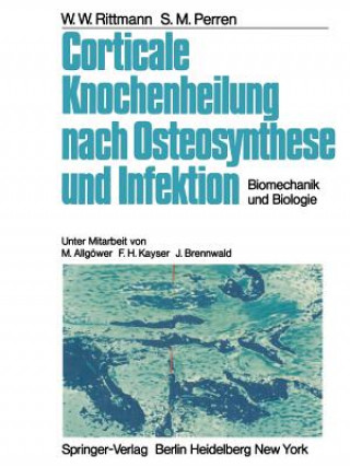 Книга Corticale Knochenheilung Nach Osteosynthese und Infektion W. W. Rittmann