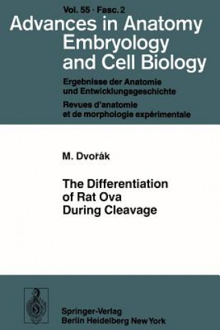 Könyv Differentiation of Rat Ova During Cleavage Milan Dvořák