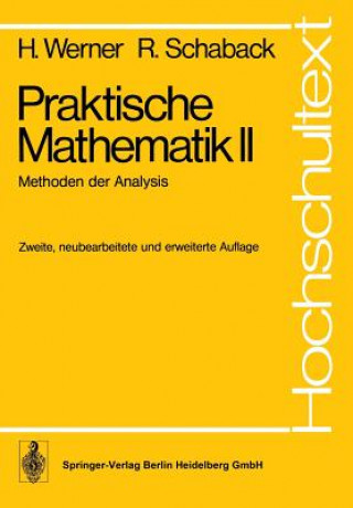 Книга Methoden der Analysis Helmut Werner