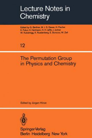 Könyv Permutation Group in Physics and Chemistry J. Hinze