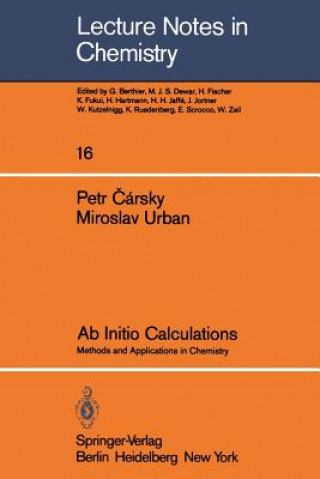 Könyv Ab Initio Calculations Petr Carsky