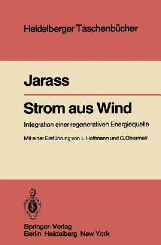 Kniha Strom aus Wind Lorenz Jarass