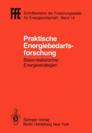 Buch Praktische Energiebedarfsforschung Helmut Schaefer