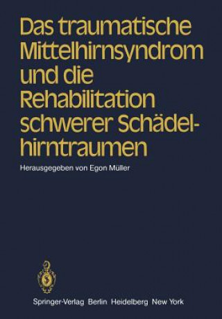 Könyv Das traumatische Mittelhirnsyndrom und die Rehabilitation schwerer Schädelhirntraumen E. Müller