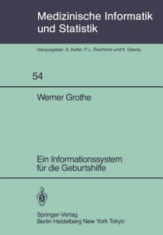 Kniha Ein Informationssystem für die Geburtshilfe Werner Grothe