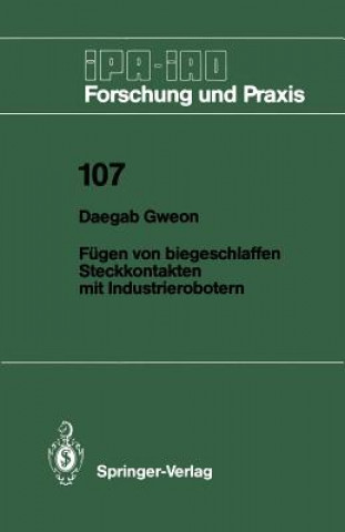 Kniha Fugen von Biegeschlaffen Steckkontakten mit Industrierobotern Daegab Gweon