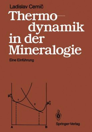 Kniha Thermodynamik in der Mineralogie Ladislav Cemic