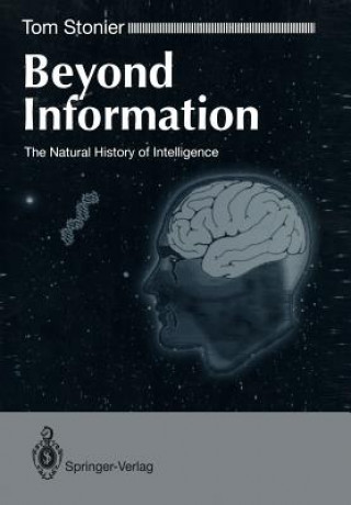 Könyv Beyond Information Tom Stonier