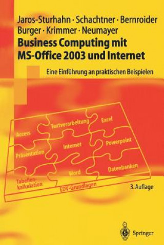 Könyv Business Computing Mit Ms-Office 2003 Und Internet Anke Jaros-Sturhahn
