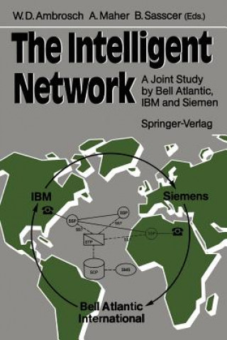 Kniha The Intelligent Network Wolf D. Ambrosch