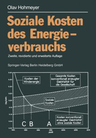 Kniha Soziale Kosten Des Energieverbrauchs Olav Hohmeyer