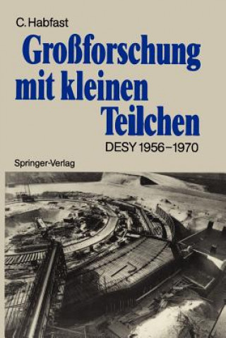 Kniha Grossforschung mit Kleinen Teilchen Claus Habfast
