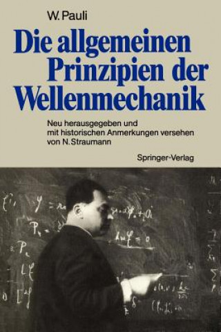 Carte Die Allgemeinen Prinzipien der Wellenmechanik Wolfgang Pauli