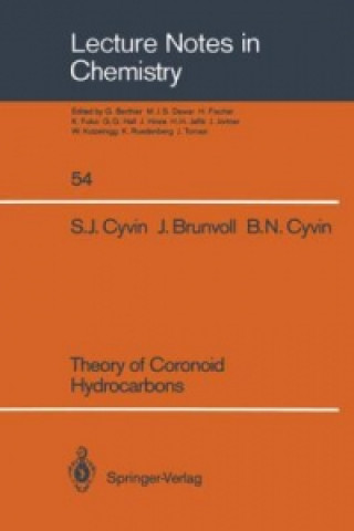 Książka Theory of Coronoid Hydrocarbons. Vol.2 Jon Brunvoll