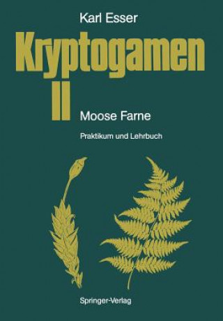 Kniha Kryptogamen II Moose Farne Karl Esser