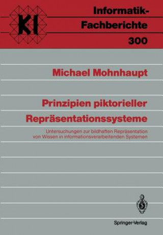 Carte Prinzipien Piktorieller Reprasentationssysteme Michael Mohnhaupt
