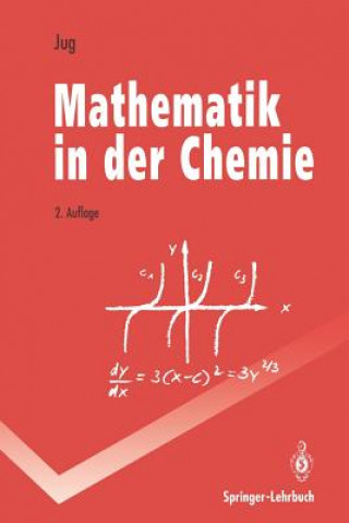 Książka Mathematik in der Chemie Karl Jug