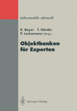 Kniha Objektbanken Fur Experten R. Bayer