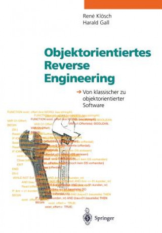 Kniha Objektorientiertes Reverse Engineering Rene Klösch