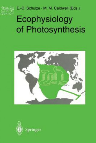 Könyv Ecophysiology of Photosynthesis Martyn M. Caldwell