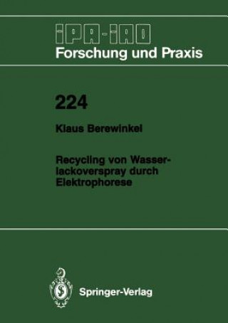 Könyv Recycling von Wasserlackoverspray durch Elektrophorese Klaus Berewinkel