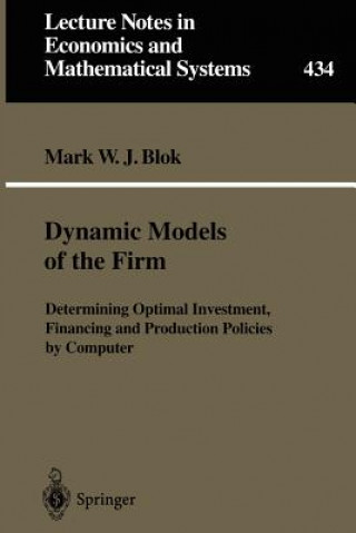 Książka Dynamic Models of the Firm Mark W.J. Blok