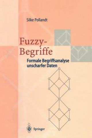 Book Fuzzy-Begriffe Silke Pollandt