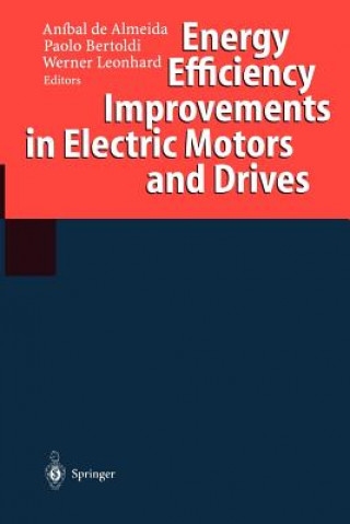 Kniha Energy Efficiency Improvements in Electric Motors and Drives Anibal De Almeida