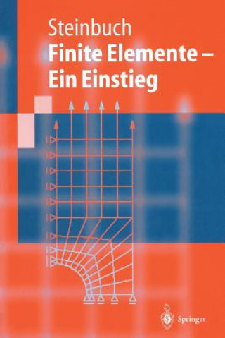 Книга Finite Elemente, Ein Einstieg Rolf Steinbuch
