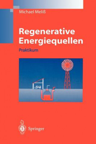Kniha Regenerative Energiequellen Michael Meliß