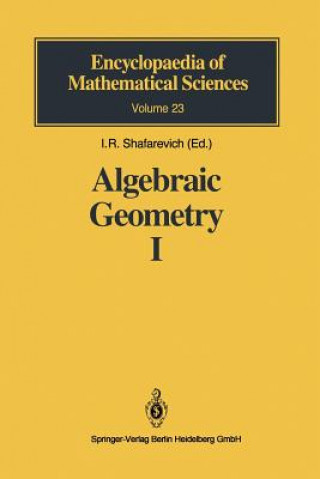 Książka Algebraic Curves, Algebraic Manifolds and Schemes V. I. Danilov