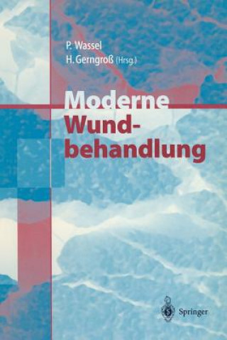 Książka Moderne Wundbehandlung Heinz Gerngroß