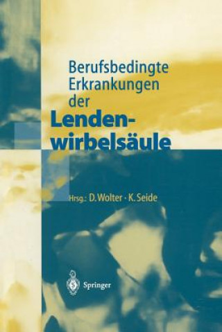 Książka Berufsbedingte Erkrankungen der Lendenwirbelsäule K. Seide