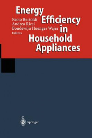 Könyv Energy Efficiency in Household Appliances Paolo Bertoldi