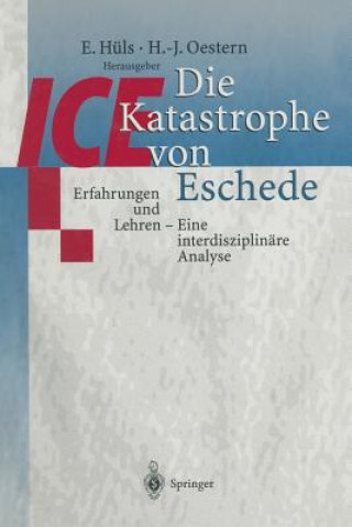 Buch Die ICE-Katastrophe von Eschede E. Hüls