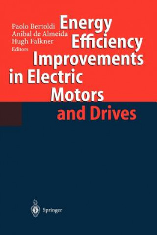 Könyv Energy Efficiency Improvements in Electronic Motors and Drives Anibal T. De Almeida