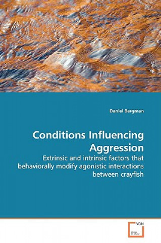 Kniha Conditions Influencing Aggression Daniel Bergman