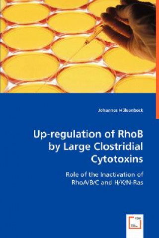 Carte Up-regulation of RhoB by Large Clostridial Cytotoxins Johannes Hülsenbeck