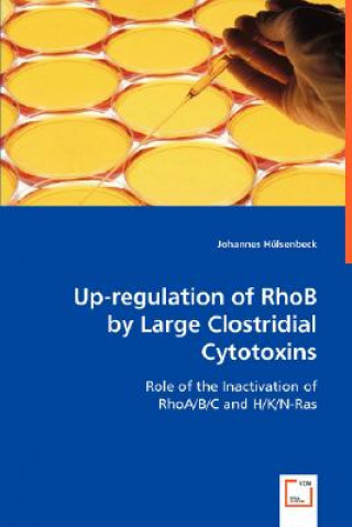 Book Up-regulation of RhoB by Large Clostridial Cytotoxins Johannes Hülsenbeck