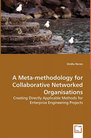 Kniha Meta-methodology for Collaborative Networked Organisations Ovidiu Noran