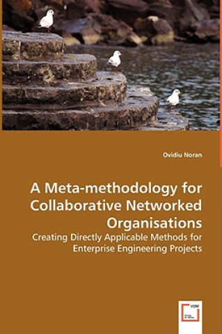 Książka Meta-methodology for Collaborative Networked Organisations Ovidiu Noran