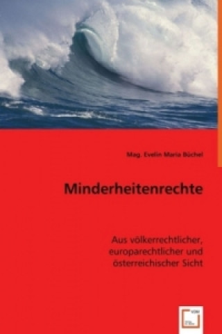 Книга Minderheitenrechte Evelin M. Büchel