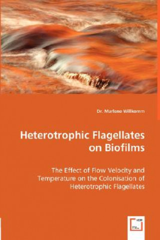 Könyv Heterotrophic Flagellates on Biofilms - The Effect of Flow Velocity and Temperature on the Colonisation of Heterotrophic Flagellates Marlene Willkomm