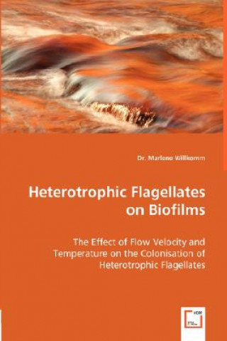 Kniha Heterotrophic Flagellates on Biofilms - The Effect of Flow Velocity and Temperature on the Colonisation of Heterotrophic Flagellates Marlene Willkomm