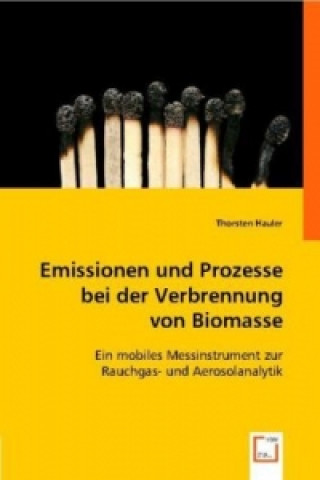 Kniha Emissionen und Prozesse bei der Verbrennung von Biomasse Thorsten Hauler