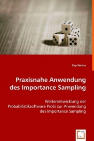 Könyv Praxisnahe Anwendung des Importance Sampling Kay Heinze