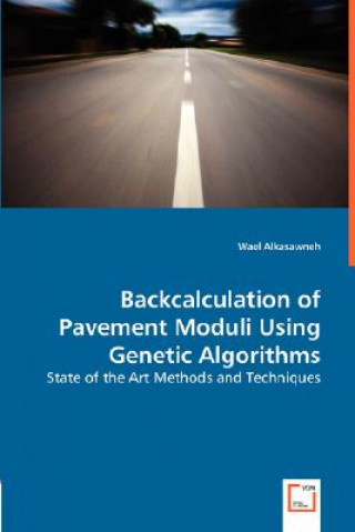 Kniha Backcalculation of Pavement Moduli Using Genetic Algorithms Wael Alkasawneh