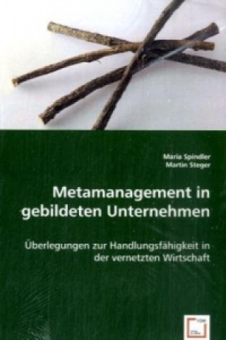 Книга Metamanagement in gebildeten Unternehmen Maria Spindler