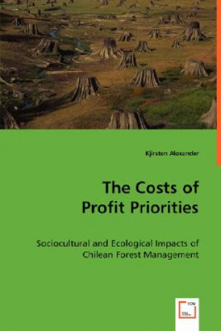 Kniha Costs of Profit Priorities Kjirsten Alexander